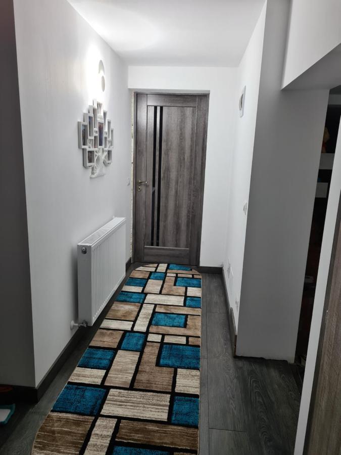 Apartmán Dumi'S House Borşa Exteriér fotografie