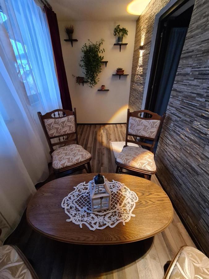 Apartmán Dumi'S House Borşa Exteriér fotografie