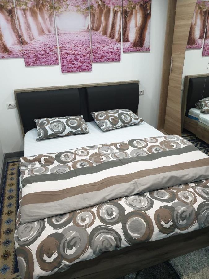 Apartmán Dumi'S House Borşa Exteriér fotografie