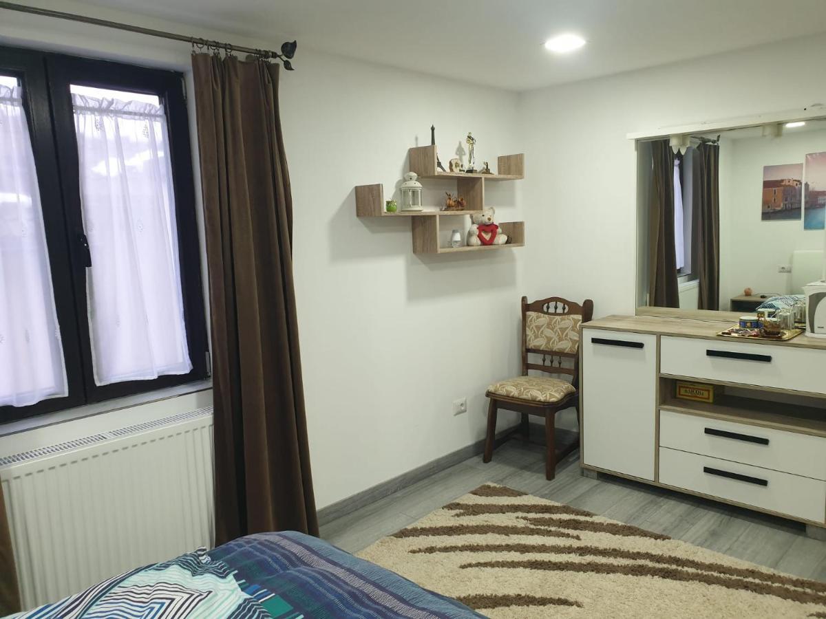 Apartmán Dumi'S House Borşa Exteriér fotografie