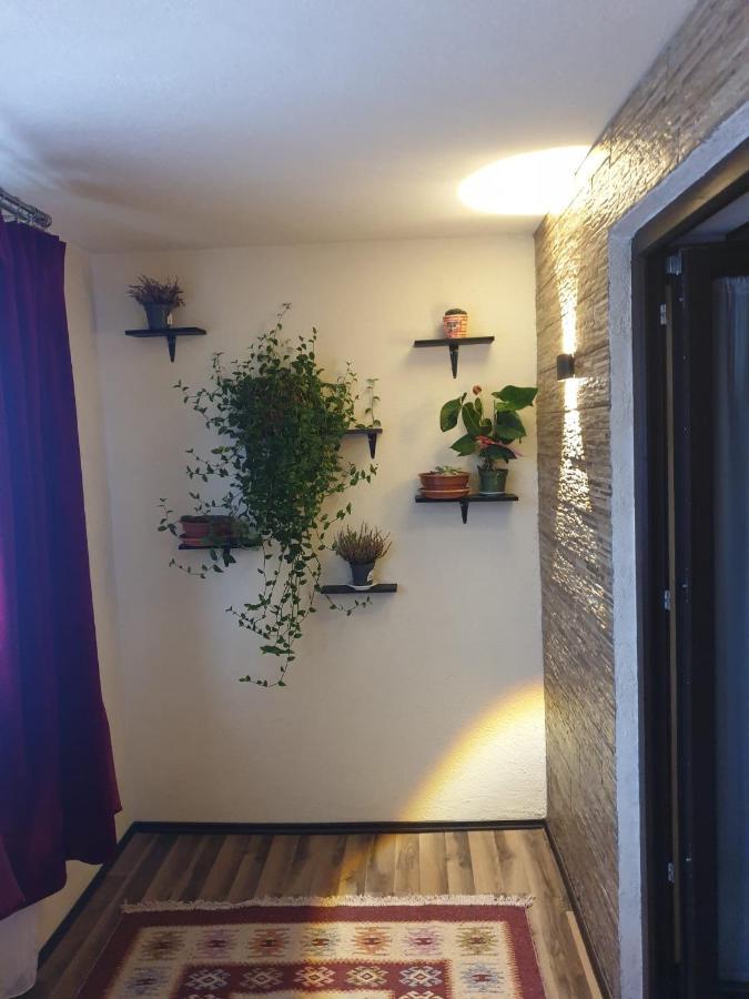 Apartmán Dumi'S House Borşa Exteriér fotografie