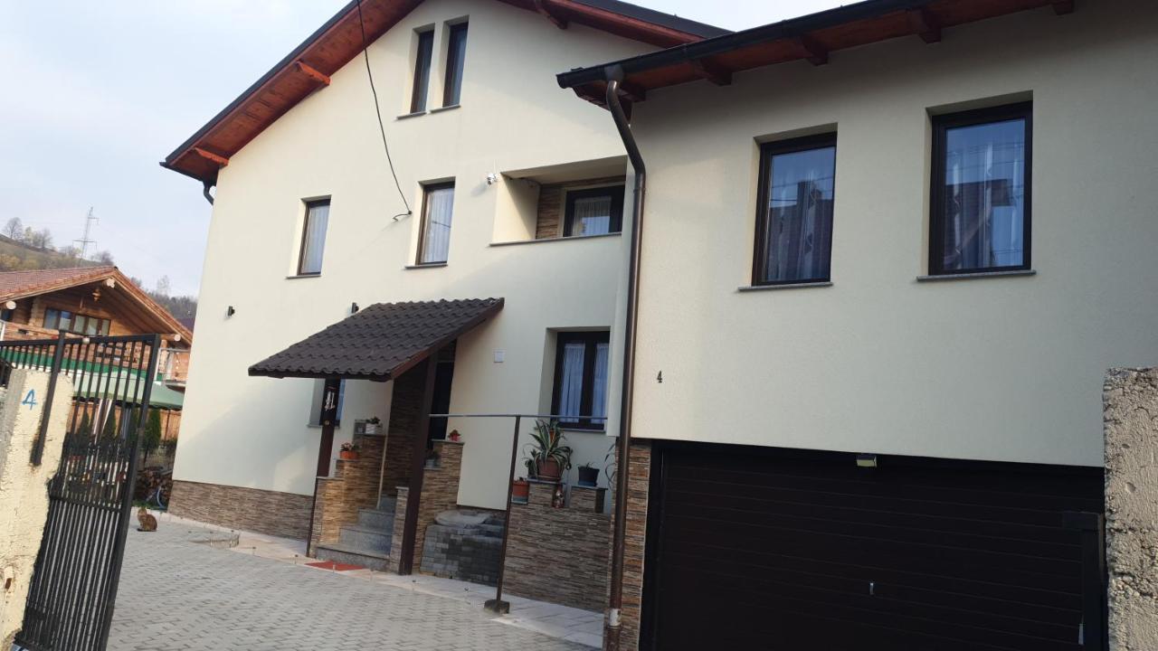 Apartmán Dumi'S House Borşa Exteriér fotografie