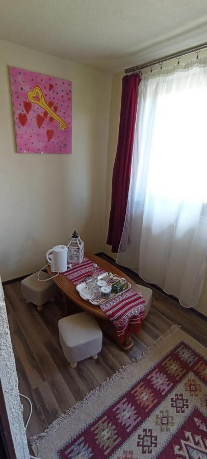 Apartmán Dumi'S House Borşa Exteriér fotografie