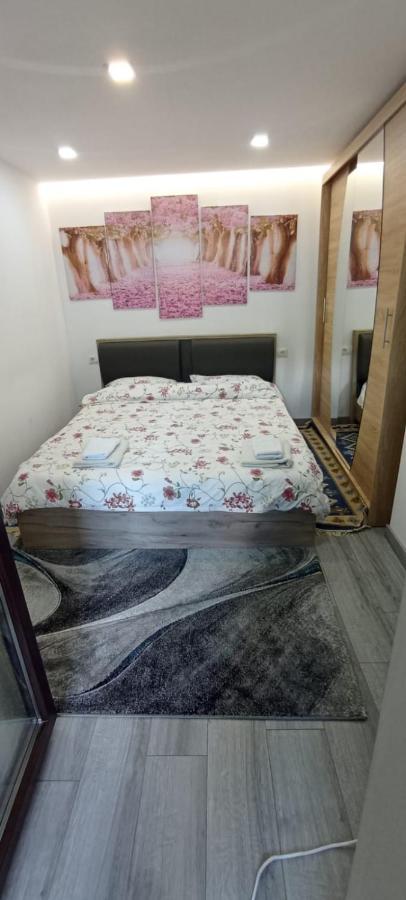 Apartmán Dumi'S House Borşa Exteriér fotografie